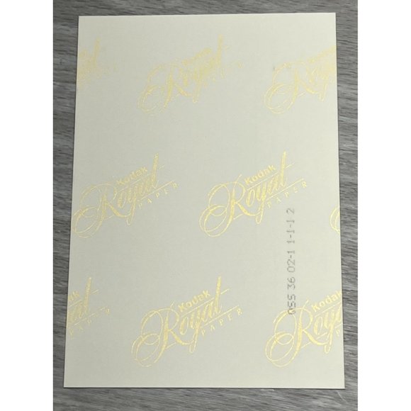 Dachsund Dog with Family on Oregon Coast Found Photo Snapshot 1994 Brindle - Picture 4 of 5